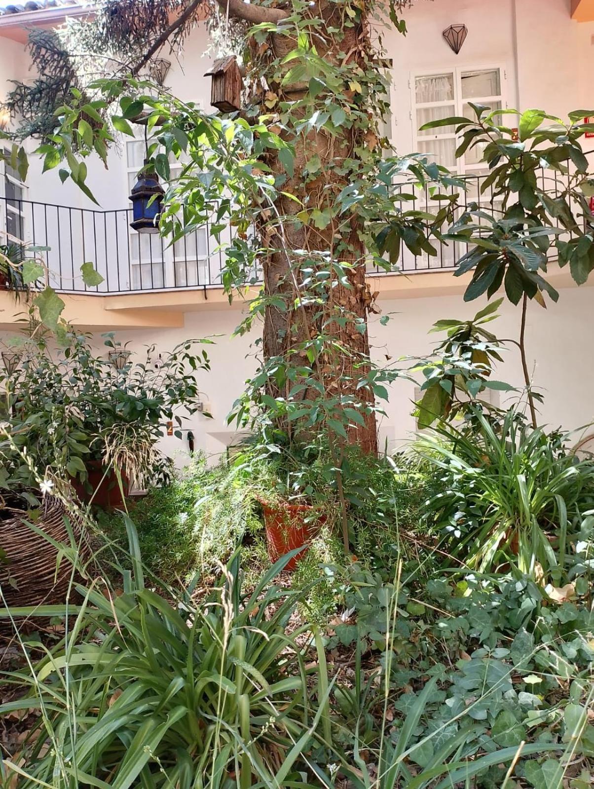 Casa Rural Plaza De Santa Maria Cazorla Dış mekan fotoğraf